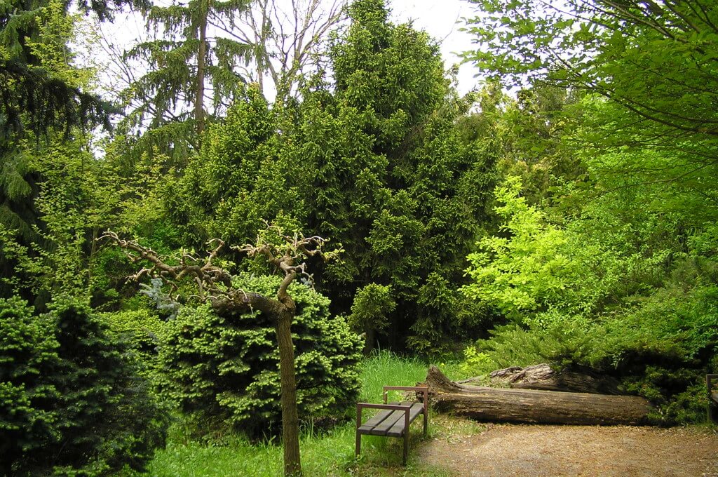 Arborétum Mlyňany Slovenskej akadémie vied